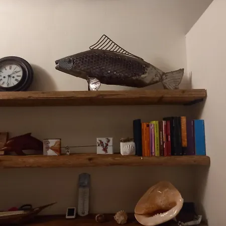 La Fernandina Apartment