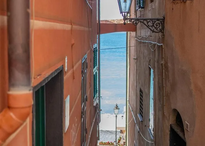 La Fernandina *